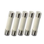 Ceramic Fuse T6 (100mA-250V)