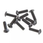 Plastic Screw ( 3x10 mm )